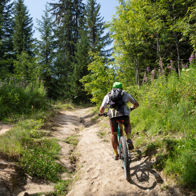 vtt au plateau